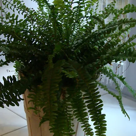 Hotel Gite-hotel La Cabourne