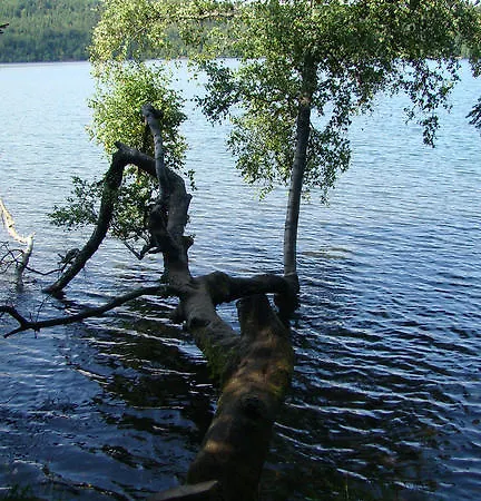 Hotel Gite-hotel La Cabourne