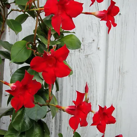 Hotel Gite-hotel La Cabourne Saint-Privat-dʼAllier