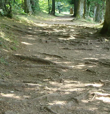 Hotel Gite-hotel La Cabourne *